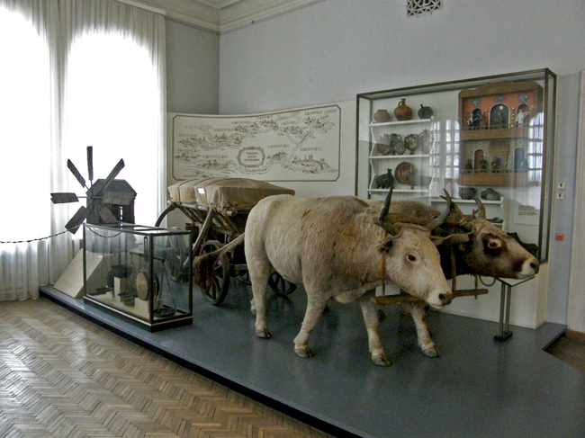 Полтавський краєзнавчий музей (1903 - 1908 рр, архітектор В. Кричевський)
