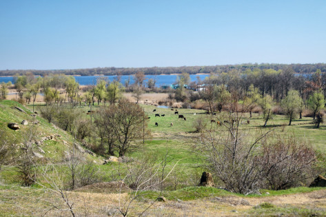 Токарівка