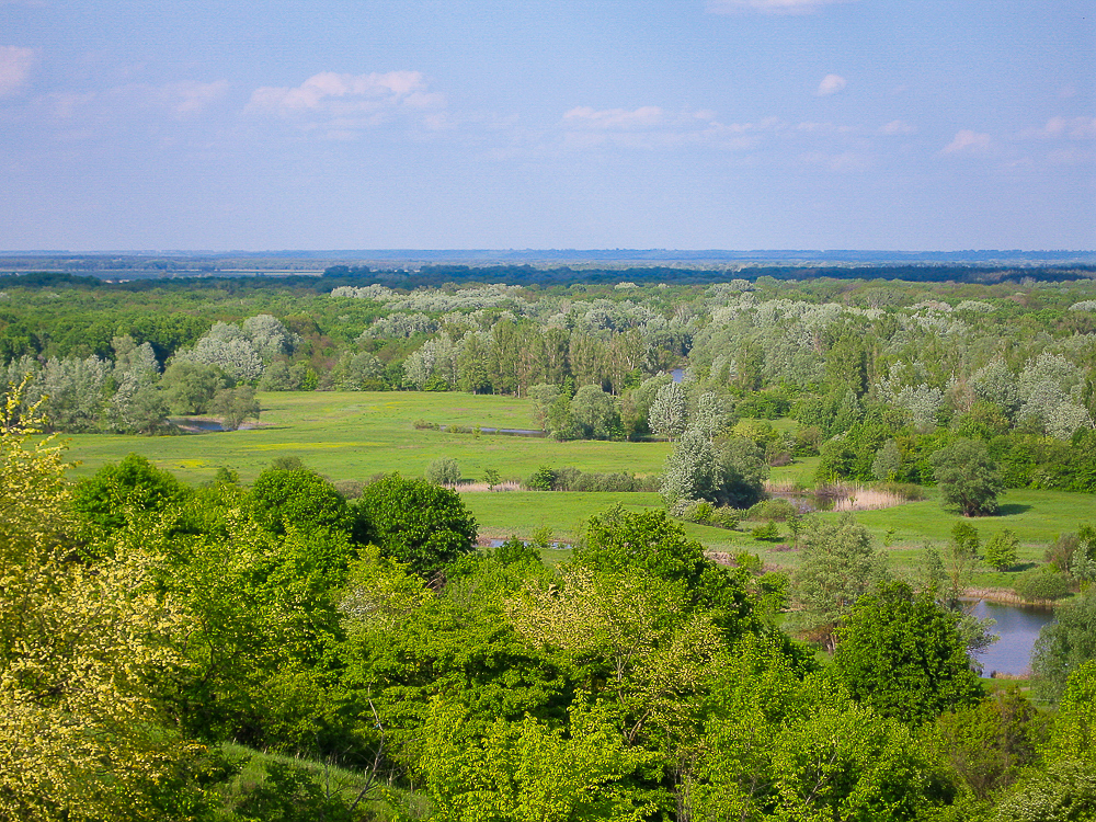 Жыныстық қатынас Әдемі үлкен әйелдер порно видео