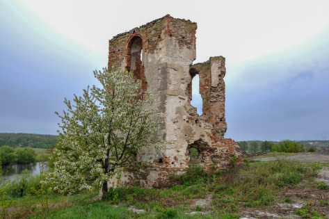 Замок Черленківських-Щеневських у Селищі