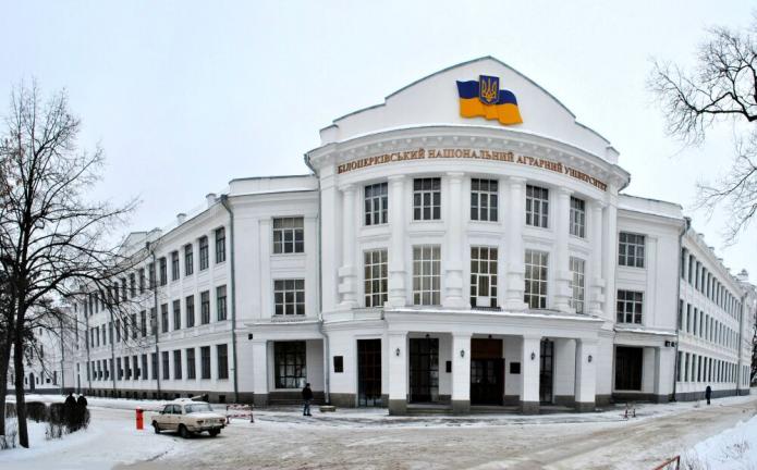 Бразилиялық аяқ фетишінің видеосы Өте үлкен бразилиялық жопа порно видео