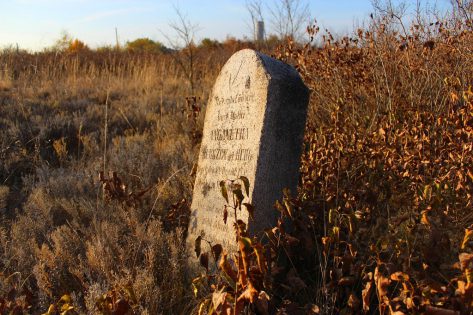 В Запорізькій області знайдено закинутий “німецький” цвинтар