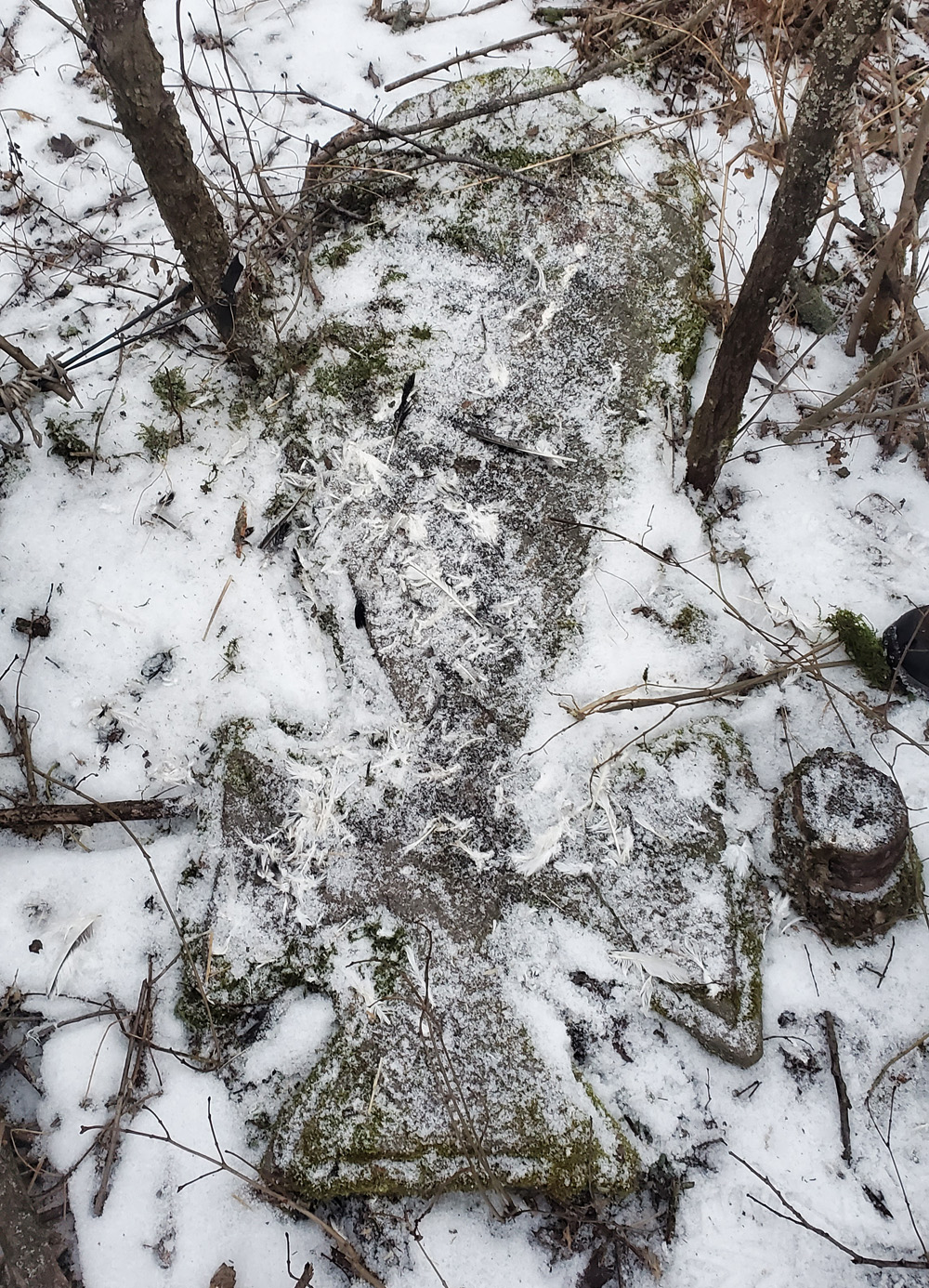 Піщана. Кам'яний хрест Цікаві місця • Пам'ятки • Що подивитись у Піщана ...