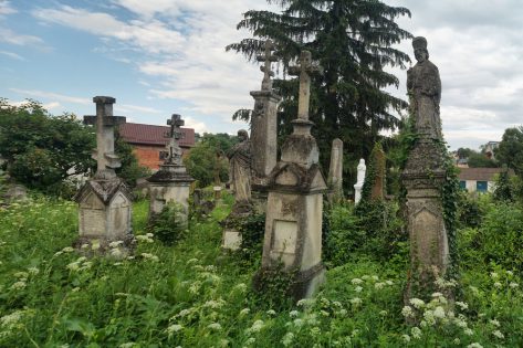 Давньоукраїнський цвинтар у Рогатині