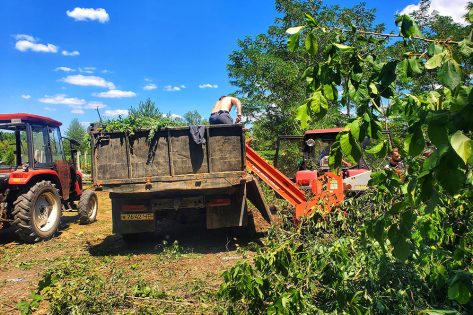 На Вінничині волонтери впорядкували давній цвинтар