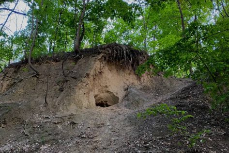 Держреєстр нерухомих пам’яток поповнився вісьмома  археологічними об’єктами столиці