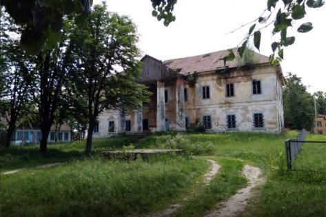 Палац у Володимирці отримав шанс на відродження