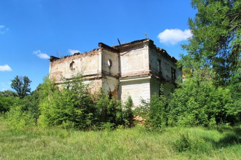 Сніжна. Руїни палацу Залеських