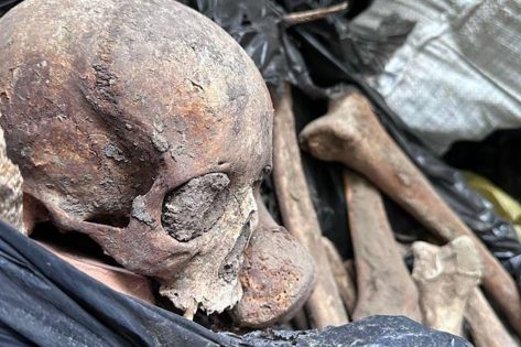 Жахлива знахідка на Подолі –  повний контейнер людських кістяків. Підсумки