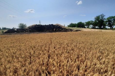 На Миколаївщині аграрії пошколили давні кургани