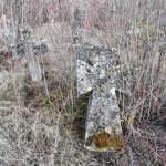 отроків_цв10
