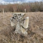 отроків_цв18