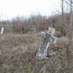 отроків_цв5