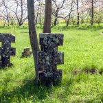 IMG_0151-Edit