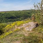 IMG_2498-Edit