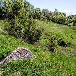 IMG_9507-Edit