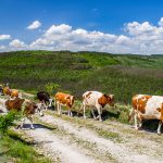 IMG_9579-Edit