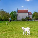 IMG_9676-Edit
