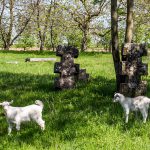 IMG_9735-Edit