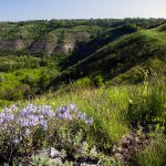 IMG_9864-Edit