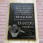хвойка9