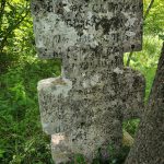 китайгород_кл6