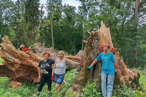 У Малієвцях волонтери рятували старий графський парк (фоторепортаж)