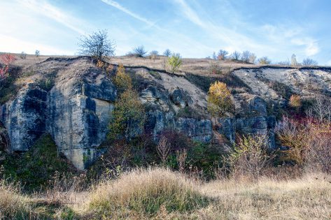 Надзбручанські пошуки давніх мешканців океану Палеотетіс (фотозвіт знайденого) Надзбручанські пошуки давніх мешканців океану Палеотетіс (фотозвіт знайденого)