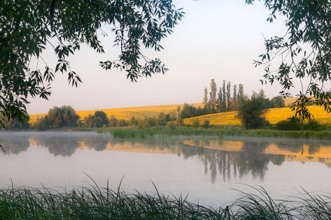 Село Папірня – ставки та старезний млин (фоторепортаж) Село Папірня – ставки та старезний млин (фоторепортаж)