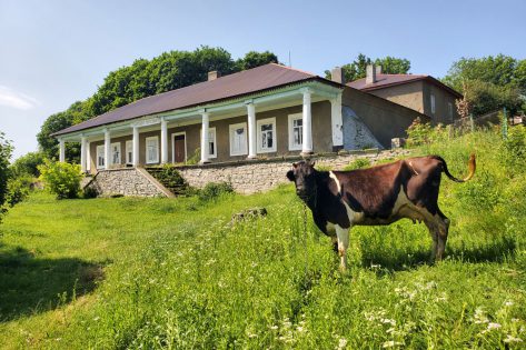 Велика Слобідка (Мукша) та її «нестандартний» палац Велика Слобідка (Мукша) та її «нестандартний» палац