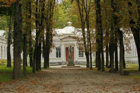 Внаслідок обстрілу на Чернігівщині постраждала садиба Лизогубів