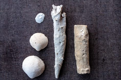 Старе Поріччя: піщані сталактити Поділля