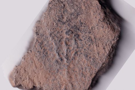 Тризуб Княжої доби: сенсаційна знахідка на Поділлі