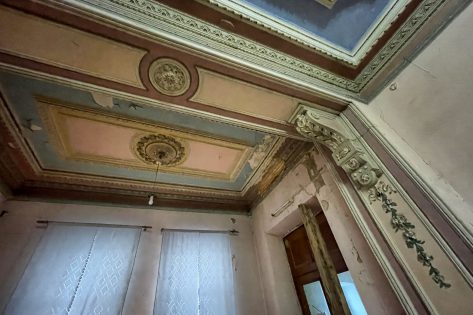 Стало відомо, яка казкова ліпнина ховається у садибі на Великій Житомирській 28 (фото)