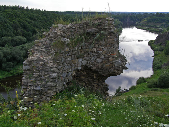 Губківський замок